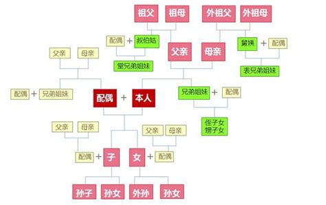 三等親有哪些|一二三四五六親等搞得我頭好亂，血親和姻親到底該怎。